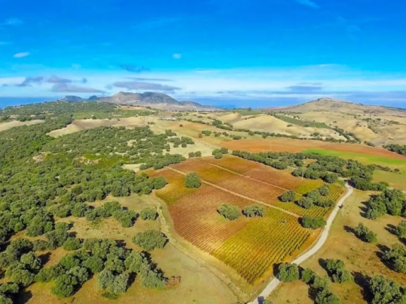 Außergewöhnliches Landgut mit Weinbergen in der Serranía de Ronda