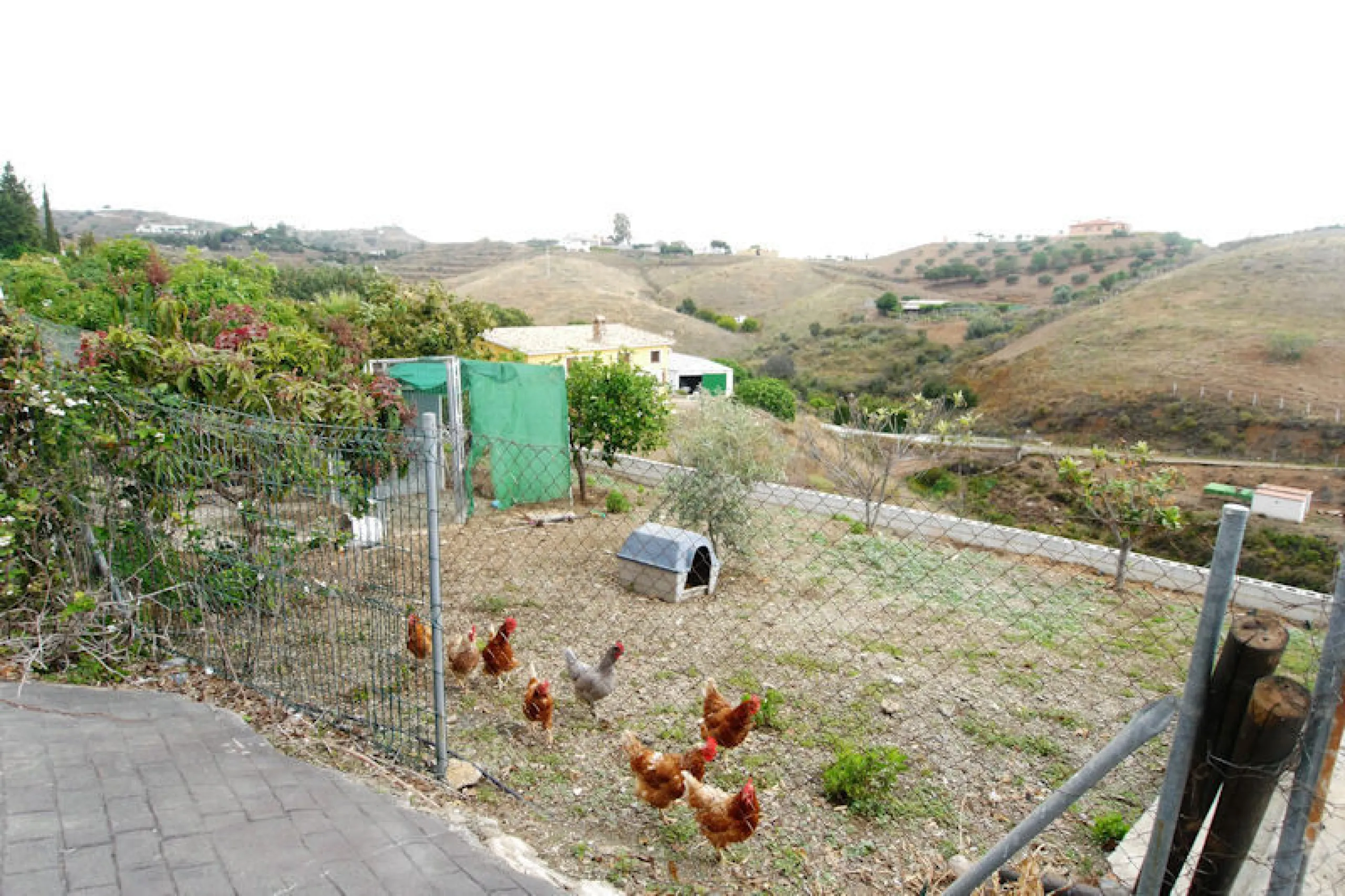 .Beautiful property with a plot of 2,501 Mts. Villa of about 492 meters built,