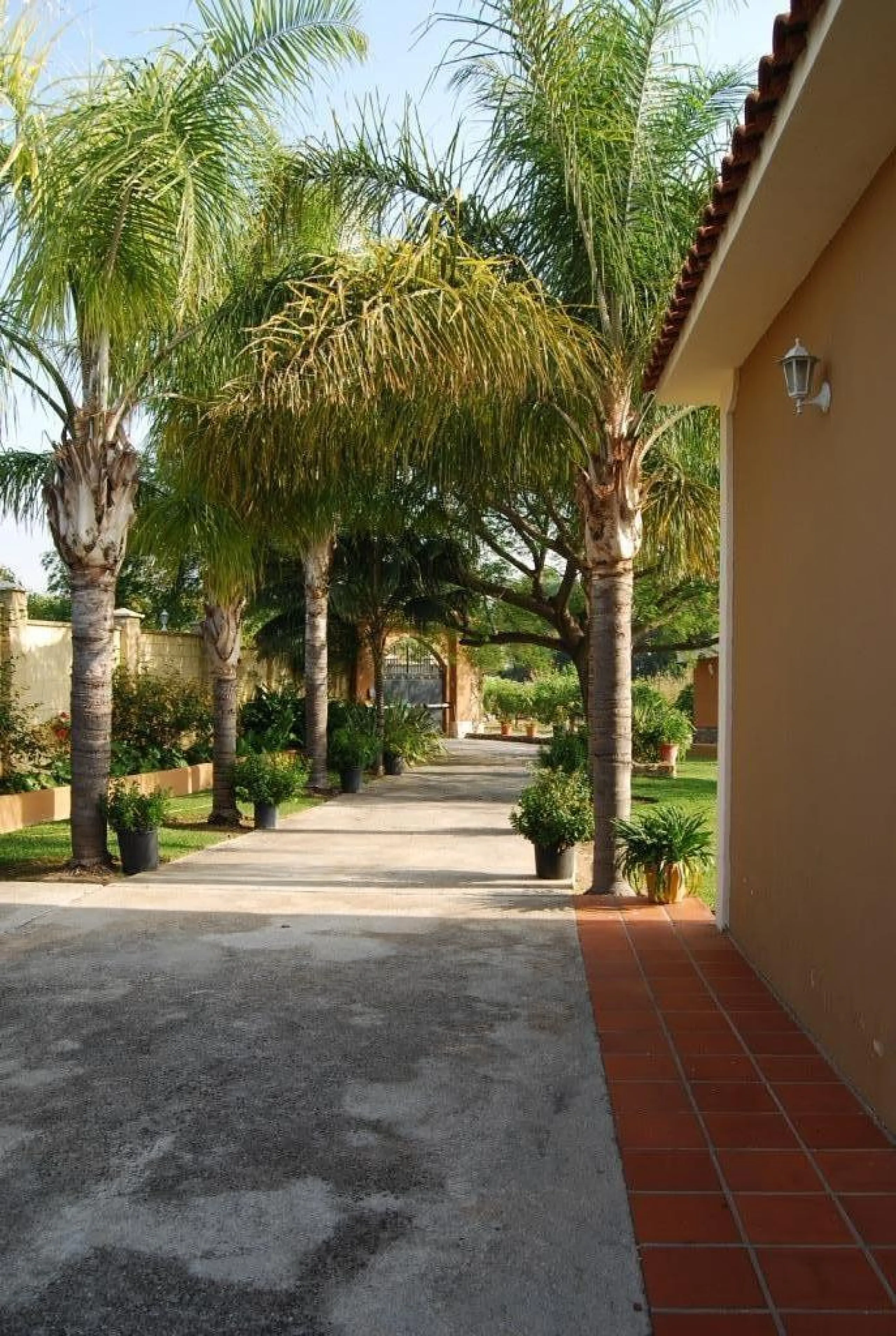 House - Detached Villa в продаже в Alhaurín de la Torre, Málaga. В доме 4 спален и 3 ванных комнат. Площадь дома 390 м². Площадь участка 6000 м²