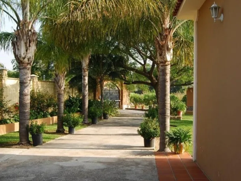 House - Detached Villa в продаже в Alhaurín de la Torre, Málaga. В доме 4 спален и 3 ванных комнат. Площадь дома 390 м². Площадь участка 6000 м²