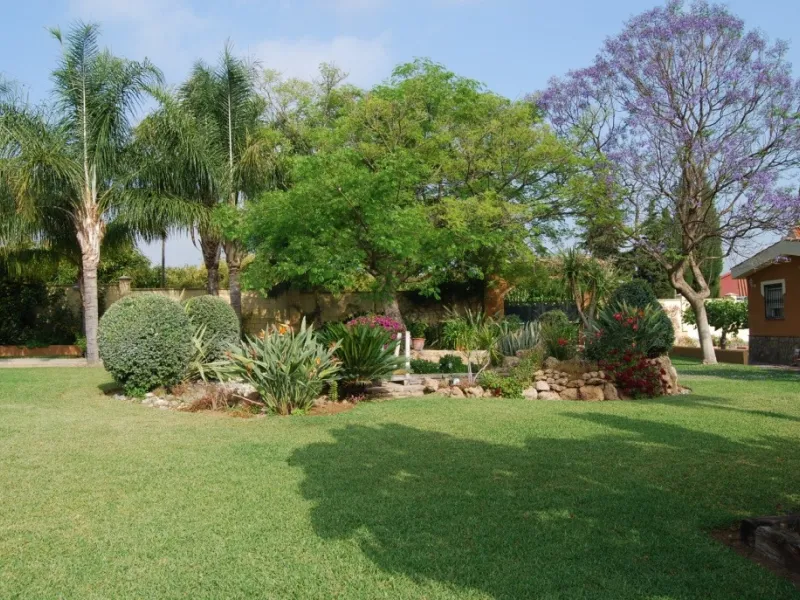 House - Detached Villa в продаже в Alhaurín de la Torre, Málaga. В доме 4 спален и 3 ванных комнат. Площадь дома 390 м². Площадь участка 6000 м²