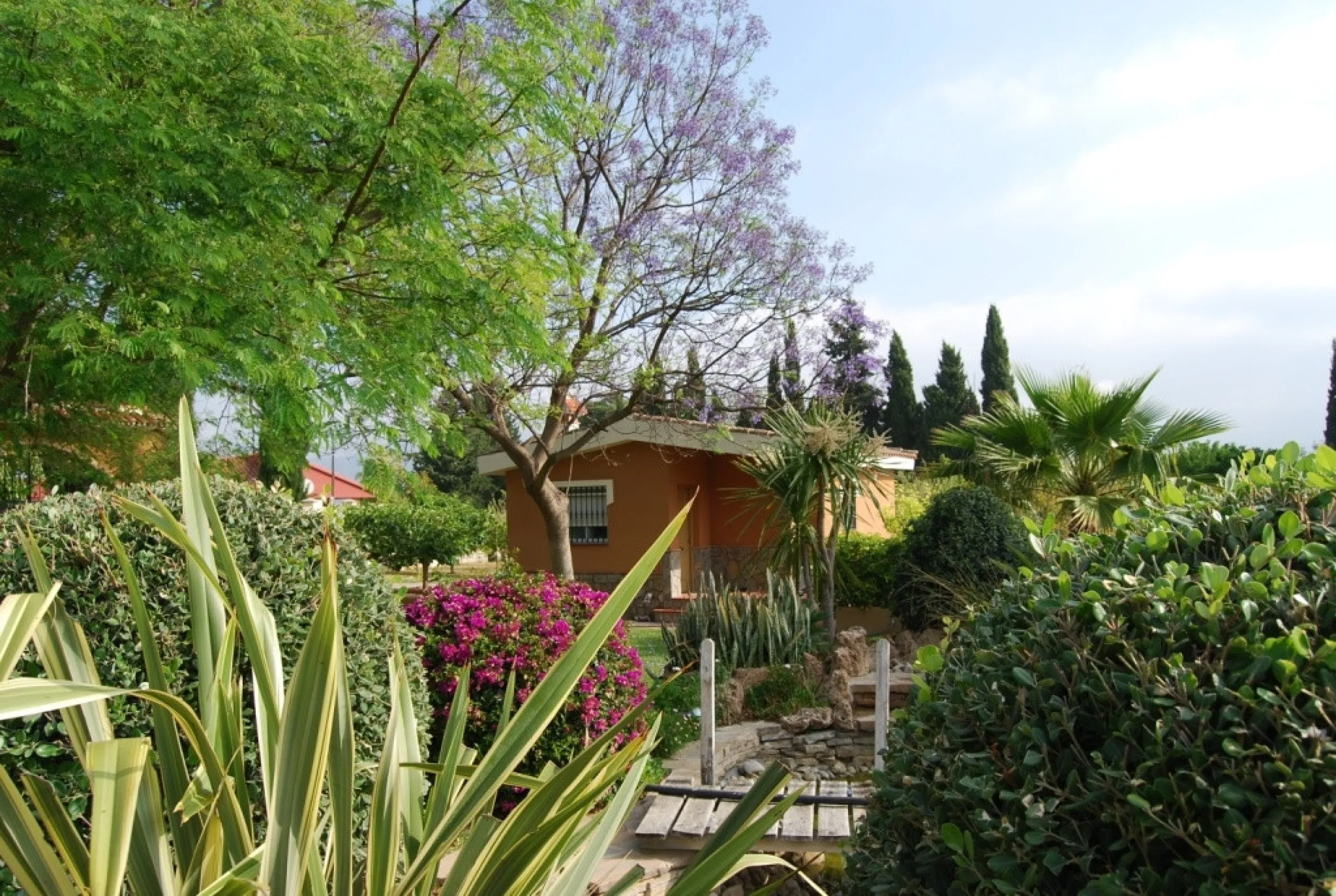 House - Detached Villa в продаже в Alhaurín de la Torre, Málaga. В доме 4 спален и 3 ванных комнат. Площадь дома 390 м². Площадь участка 6000 м²