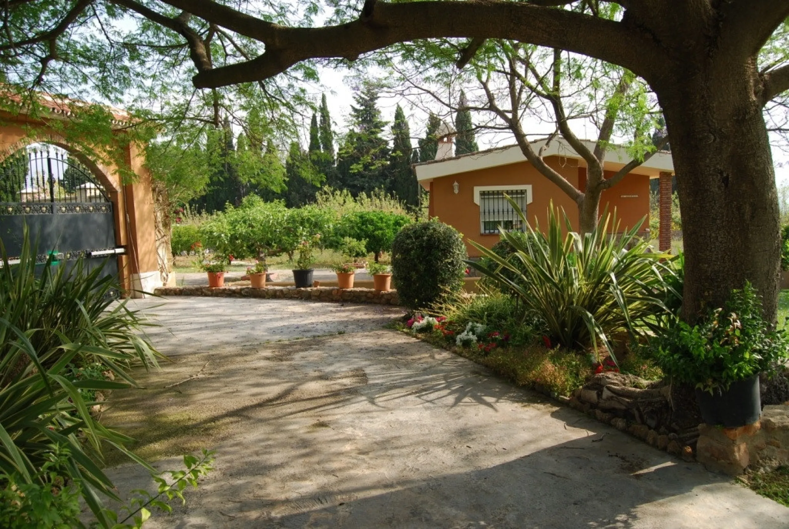 House - Detached Villa в продаже в Alhaurín de la Torre, Málaga. В доме 4 спален и 3 ванных комнат. Площадь дома 390 м². Площадь участка 6000 м²