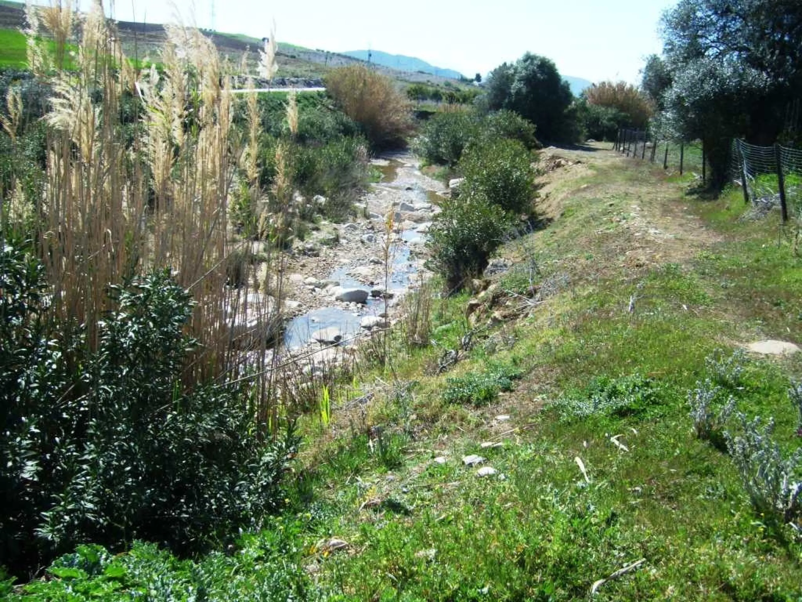 743-V For sale a farm with a house of 150 m2, all on one level consisting of very spacious lounge/dining room with fireplace, fitted kitchen, 2 bedrooms, 2 bathrooms, pantry, storage room, terrace with views to the Guadalhorce Valley, has 200 000 m2 of fe