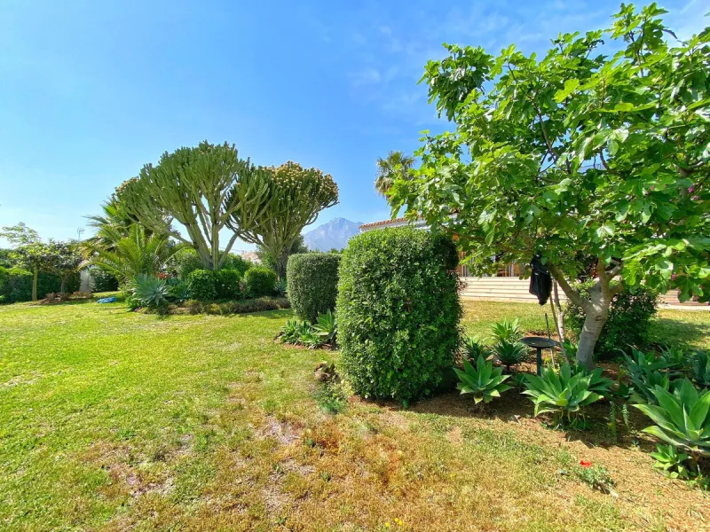 Impressive independent villa with very large spaces built on one floor and located near the center of Marbella.