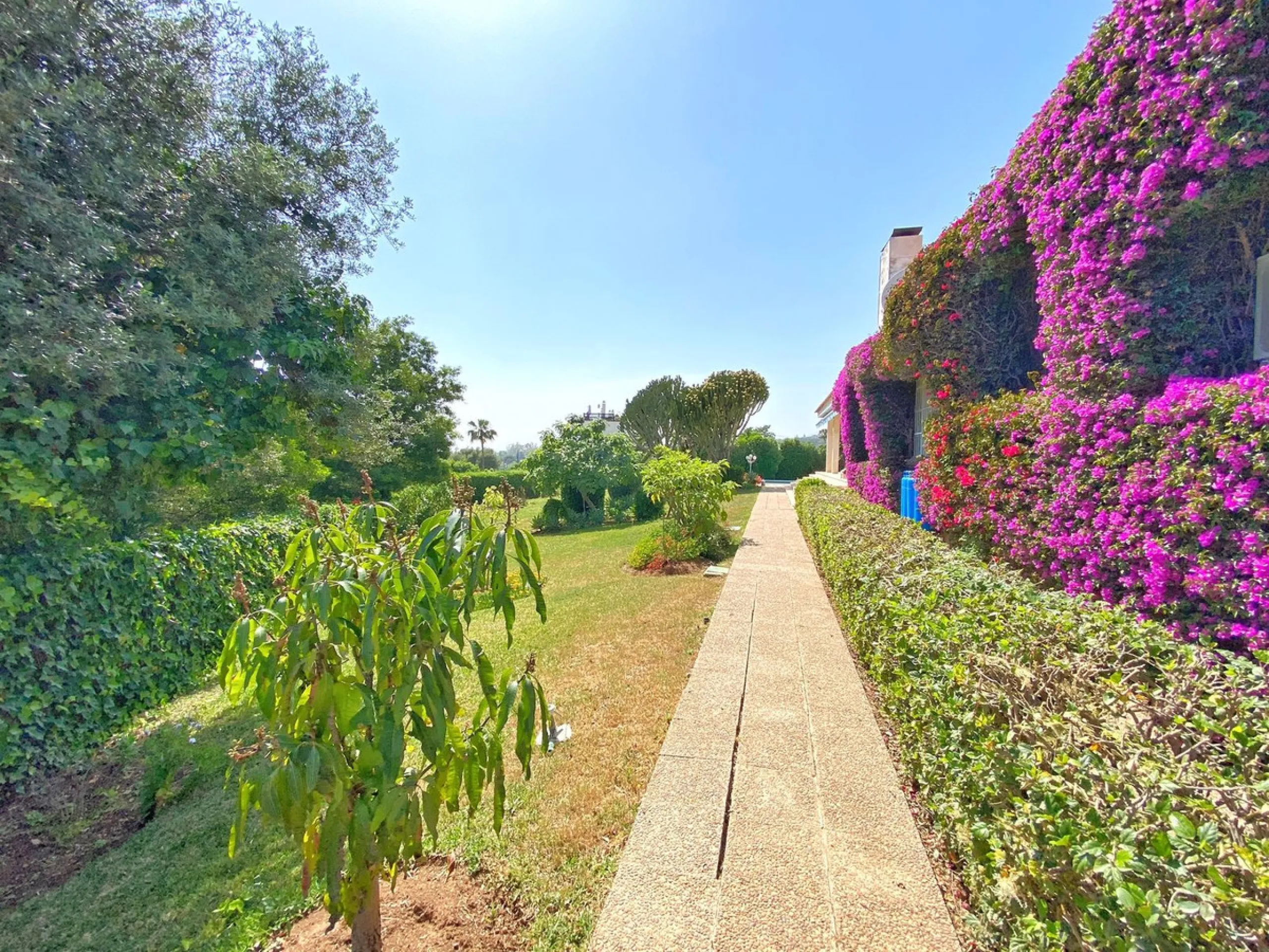Impressive independent villa with very large spaces built on one floor and located near the center of Marbella.