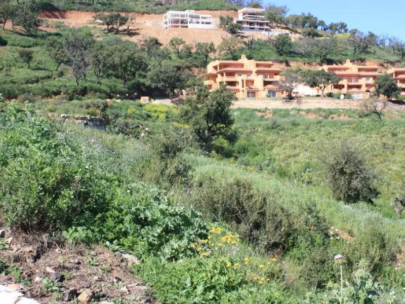 QUICK SALE! A unique opportunity for investors and individuals