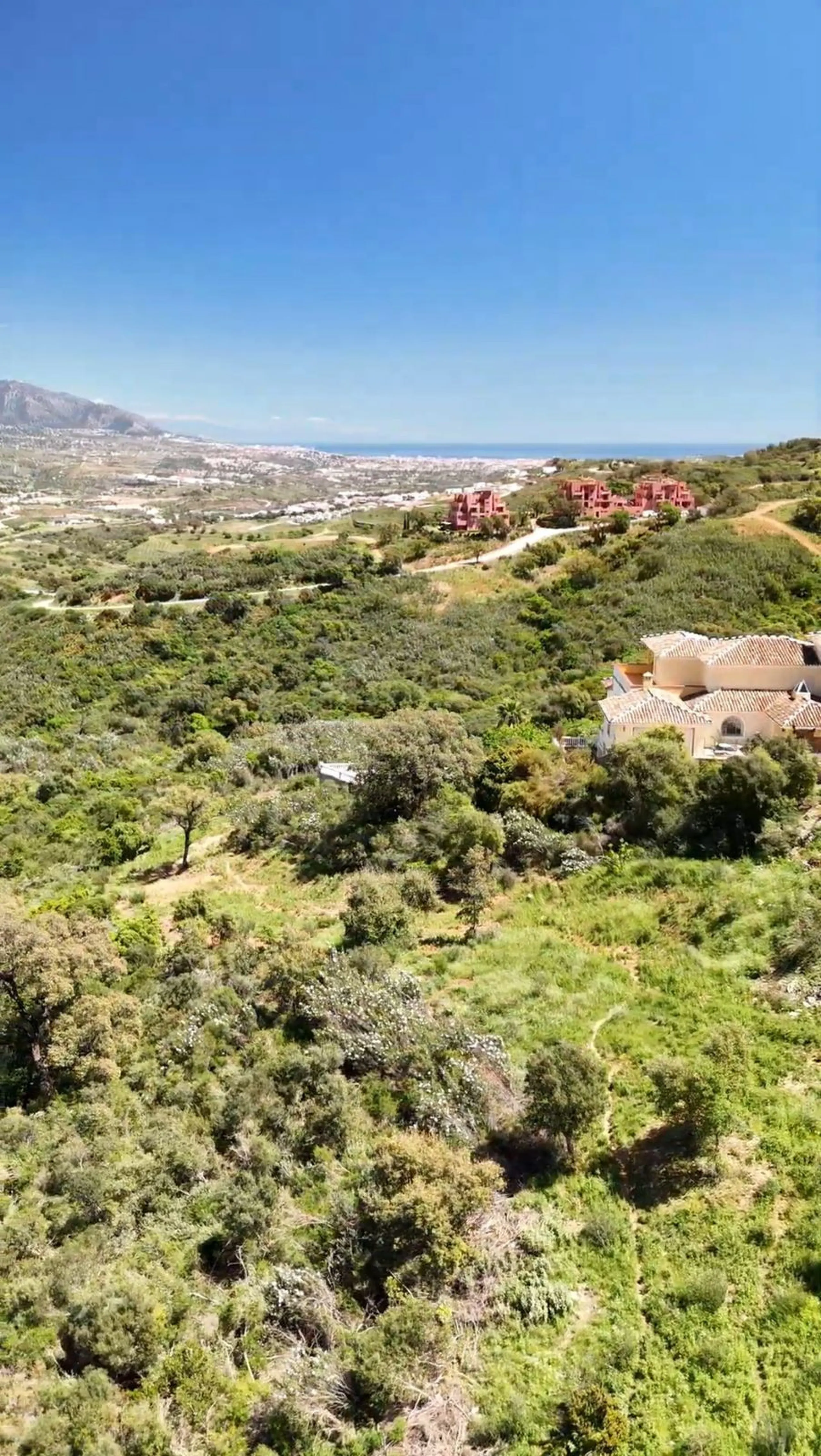 QUICK SALE! A unique opportunity for investors and individuals