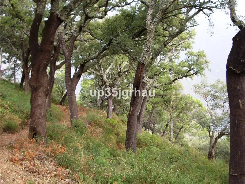 Villa - Finca, Jubrique, Costa del Sol.
