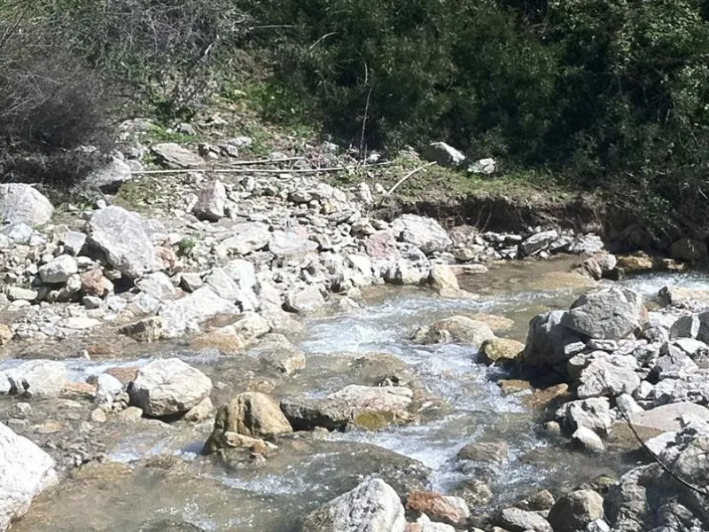Plot - Land, Gaucín, Costa del Sol.