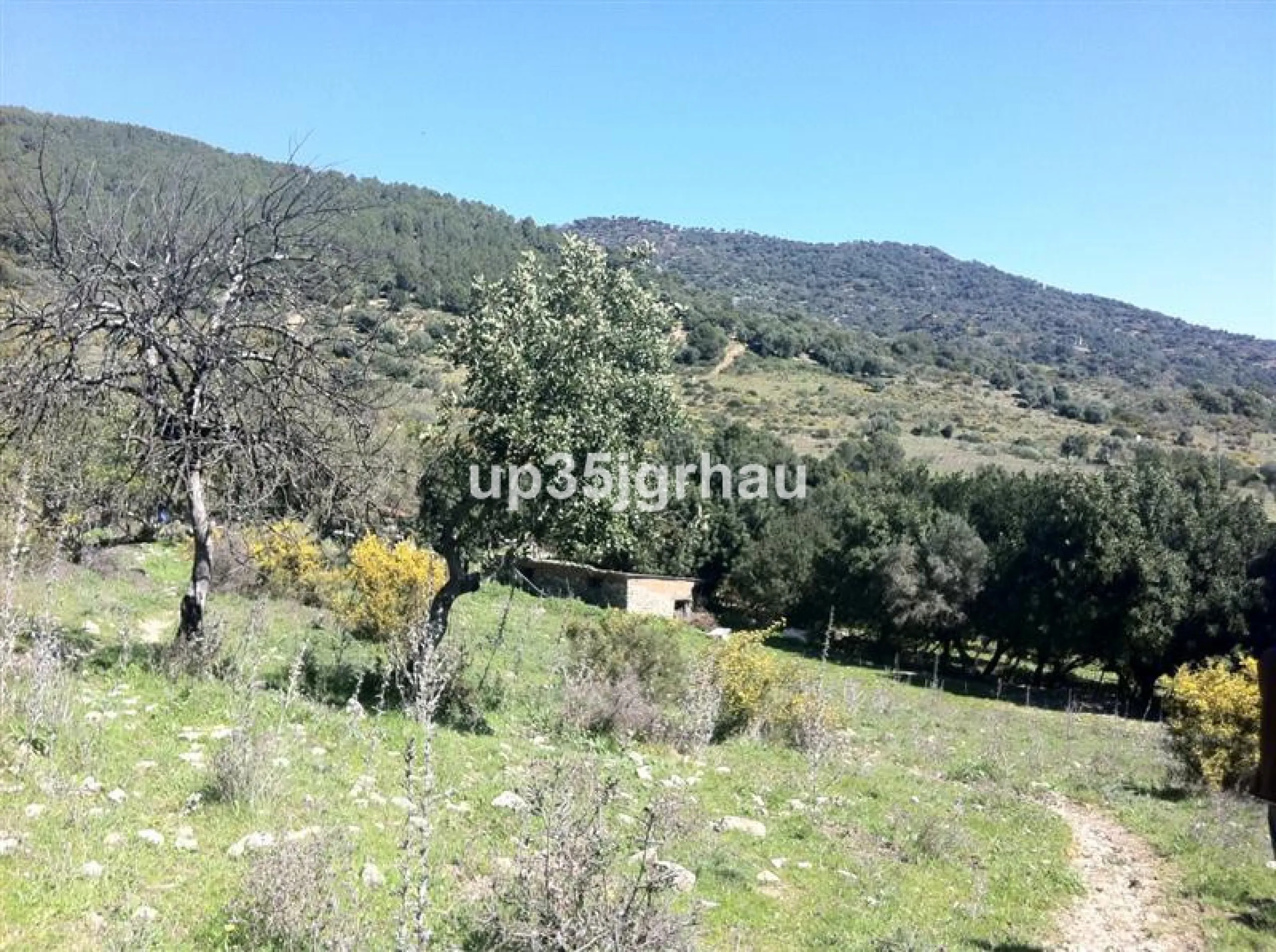 Plot - Land, Gaucín, Costa del Sol.