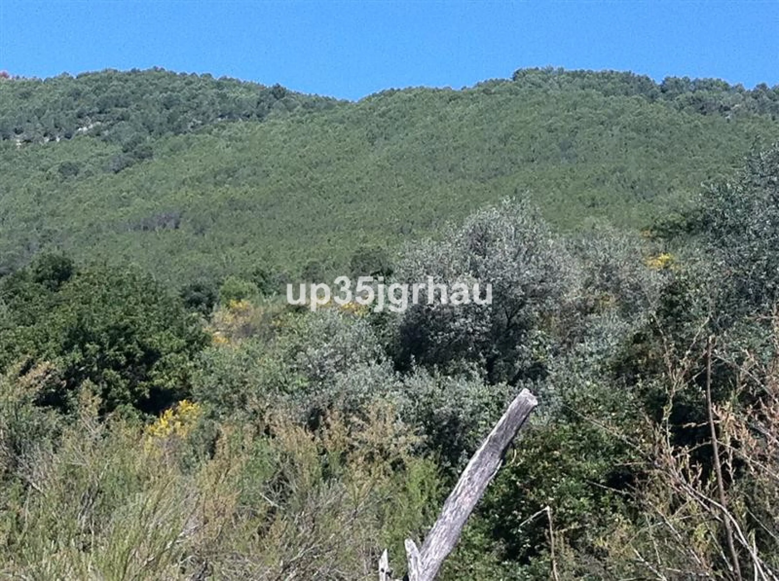 Plot - Land, Gaucín, Costa del Sol.