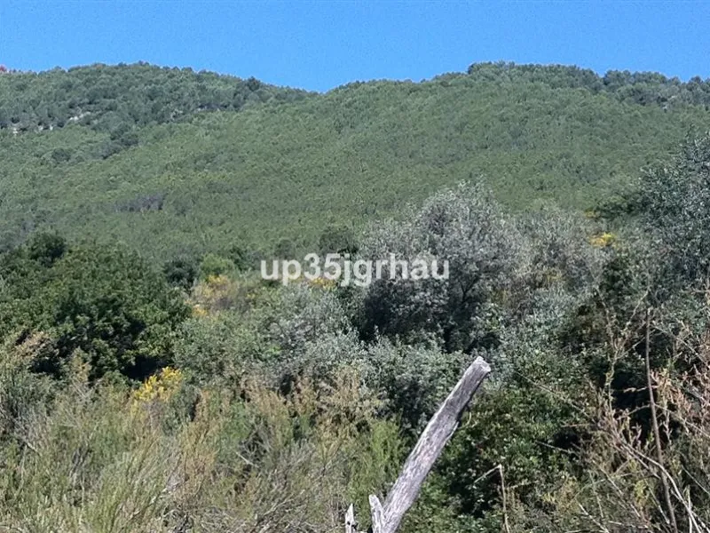 Plot - Land, Gaucín, Costa del Sol.