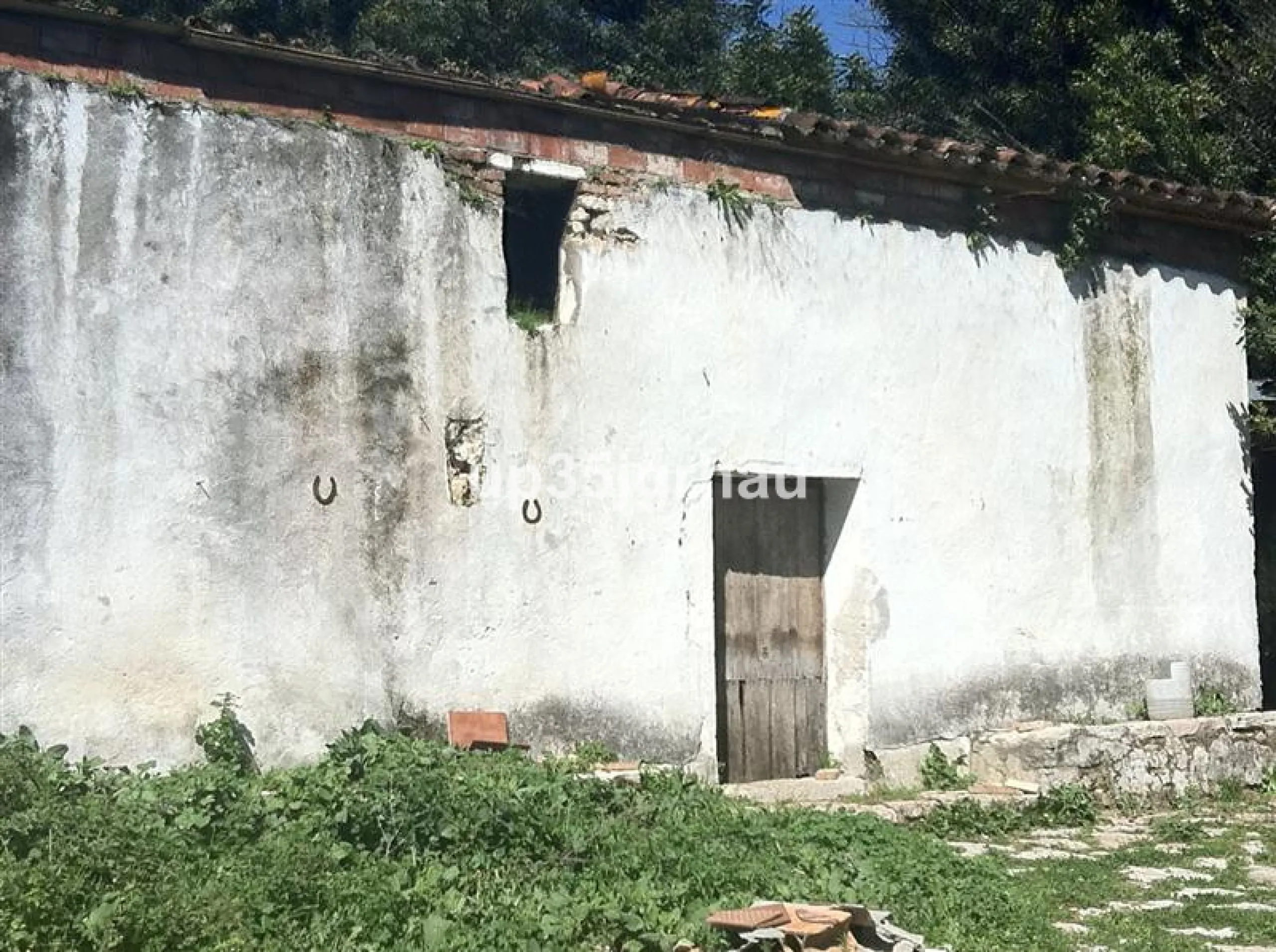 Plot - Land, Gaucín, Costa del Sol.