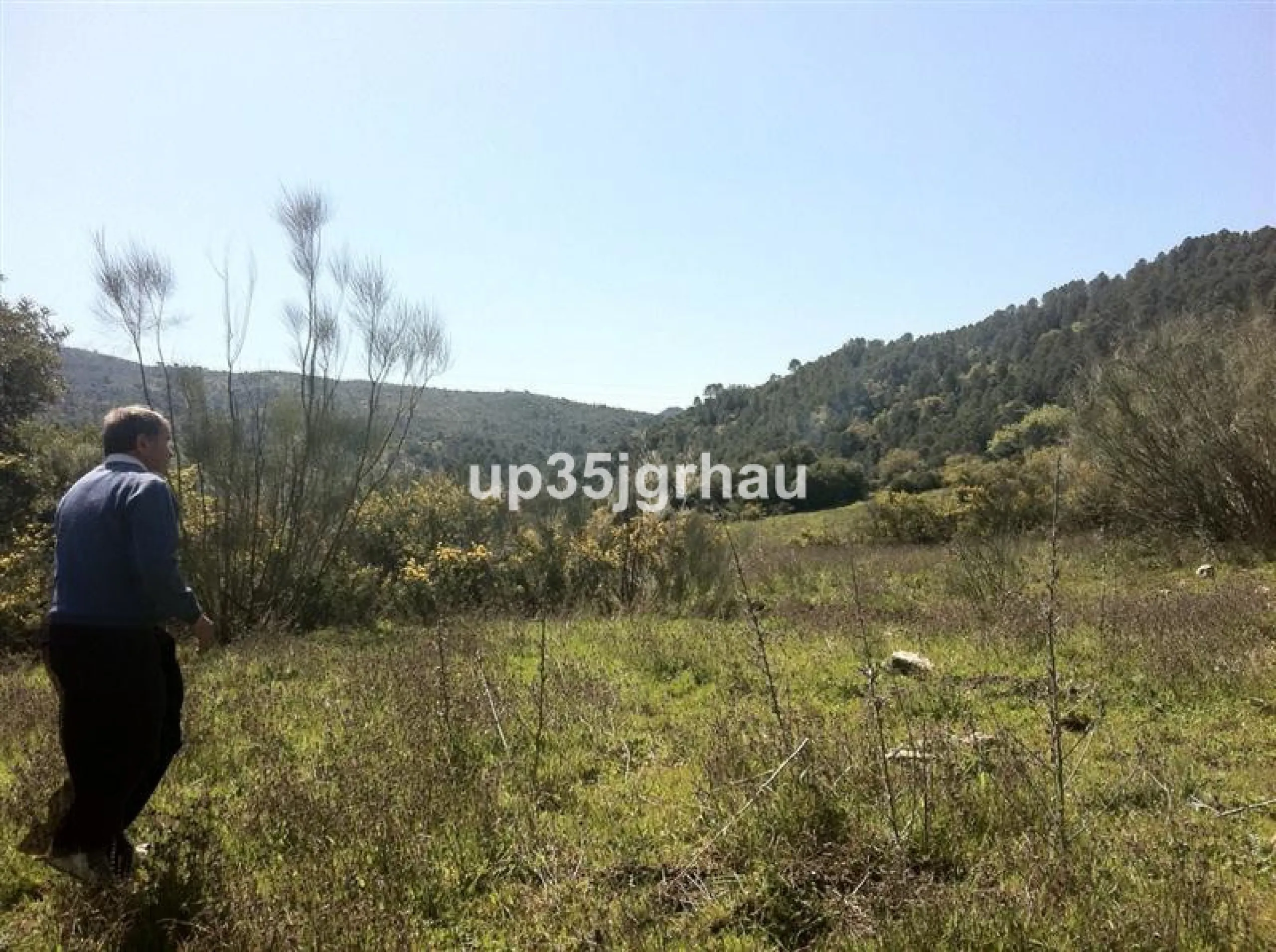 Plot - Land, Gaucín, Costa del Sol.