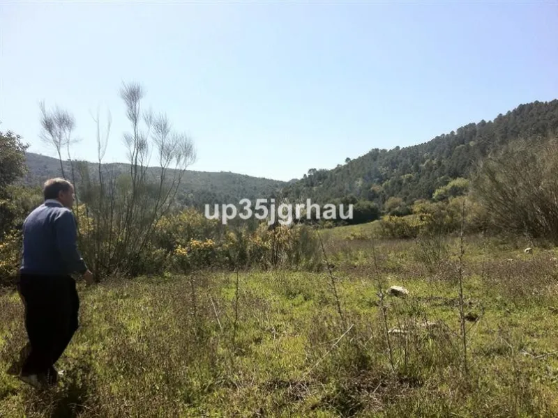Plot - Land, Gaucín, Costa del Sol.
