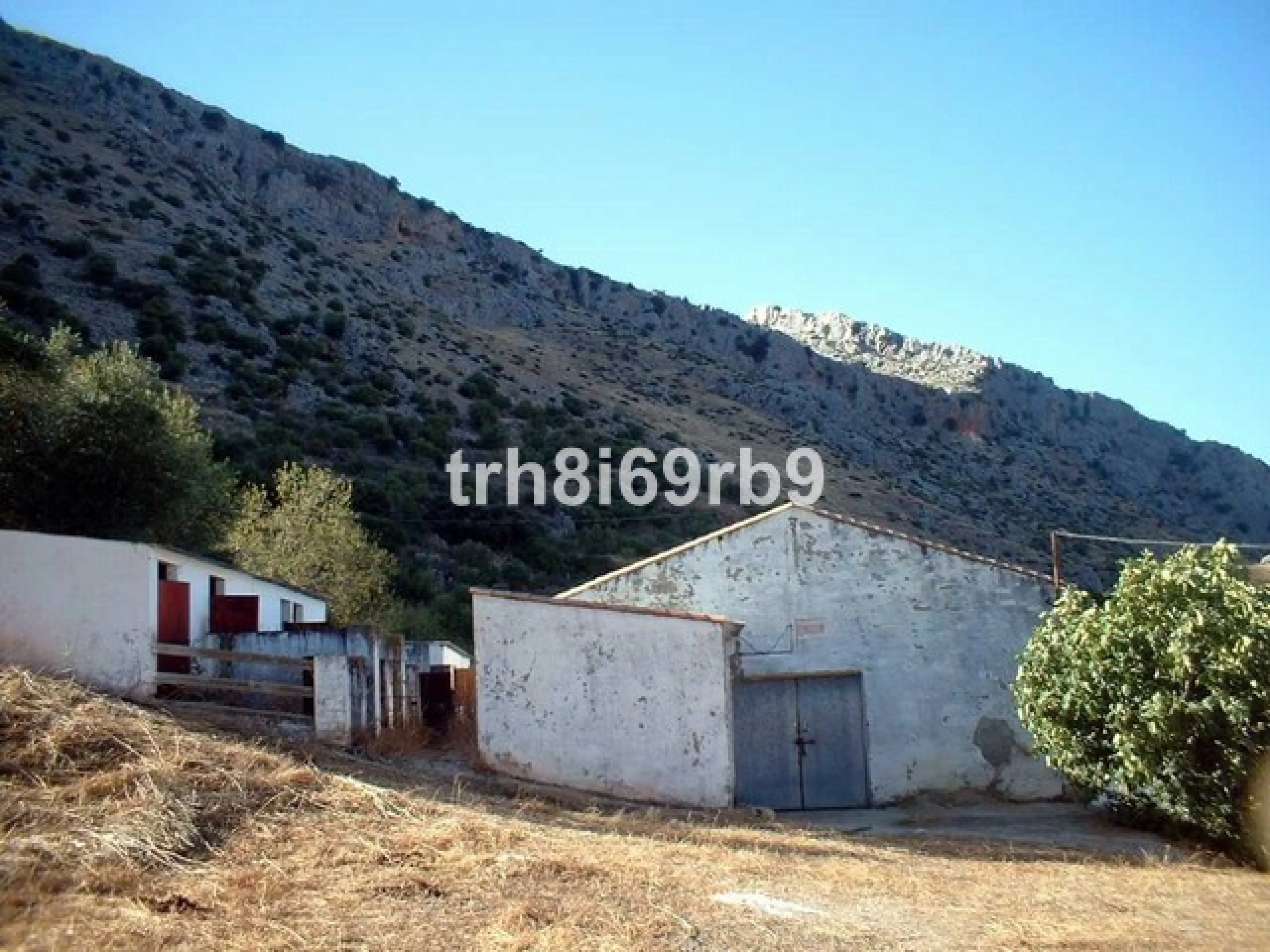 A prime investment project located only 15 minutes from Ronda. The finca consists of 7.5 hectares of olive plantation (approx 600 producing trees) and borders the National park of Grazalema. There are approx 1,100m2 of constructed warehouses and buildings