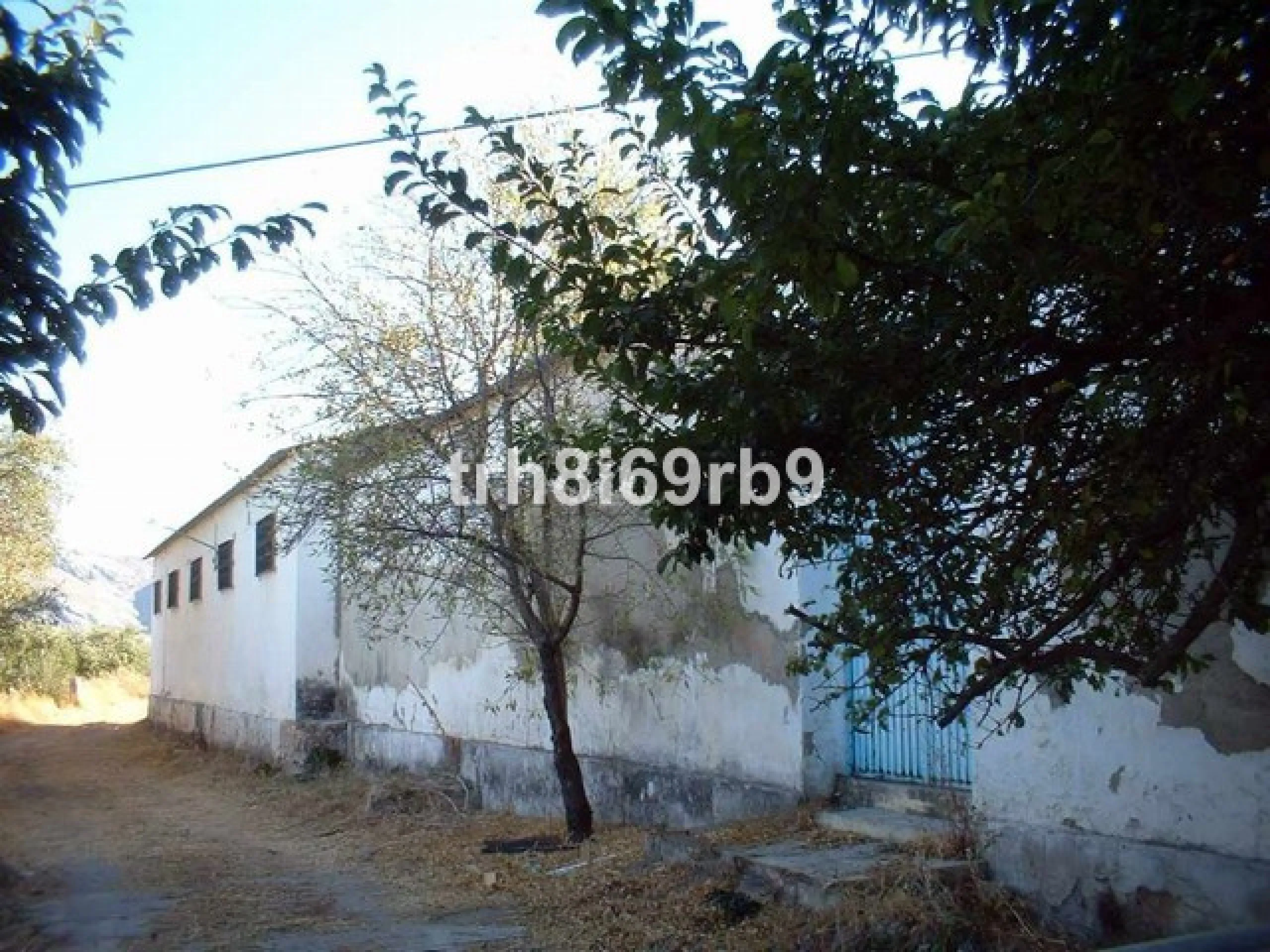 A prime investment project located only 15 minutes from Ronda. The finca consists of 7.5 hectares of olive plantation (approx 600 producing trees) and borders the National park of Grazalema. There are approx 1,100m2 of constructed warehouses and buildings