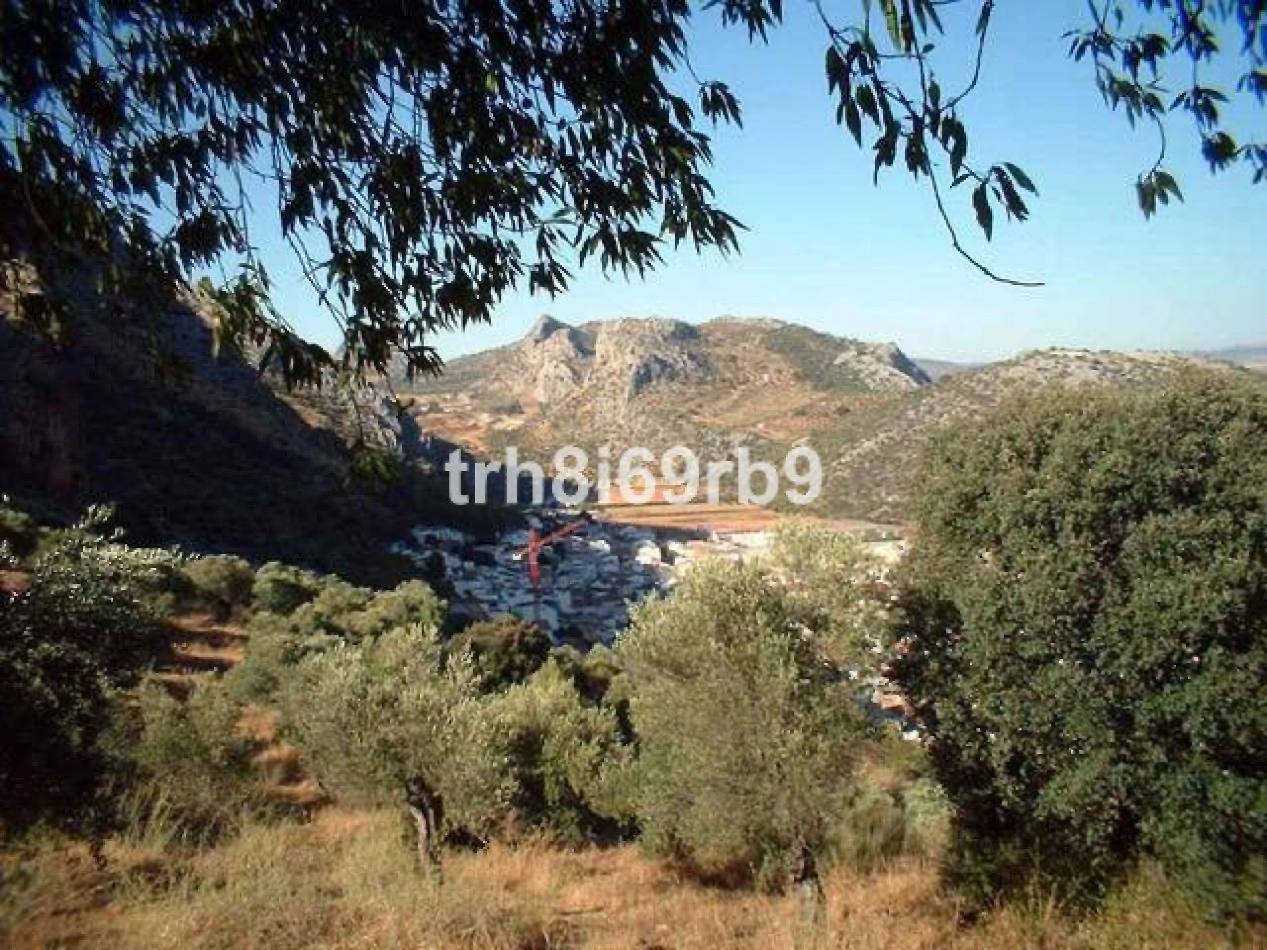 A prime investment project located only 15 minutes from Ronda. The finca consists of 7.5 hectares of olive plantation (approx 600 producing trees) and borders the National park of Grazalema. There are approx 1,100m2 of constructed warehouses and buildings