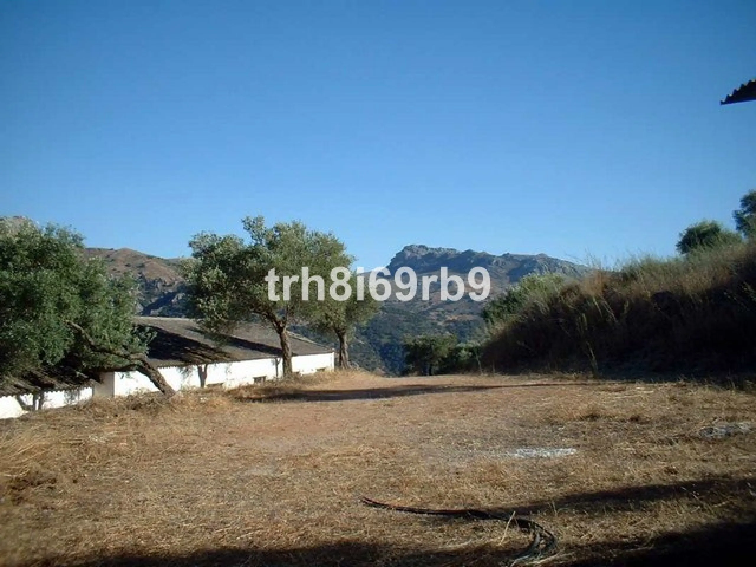 A prime investment project located only 15 minutes from Ronda. The finca consists of 7.5 hectares of olive plantation (approx 600 producing trees) and borders the National park of Grazalema. There are approx 1,100m2 of constructed warehouses and buildings