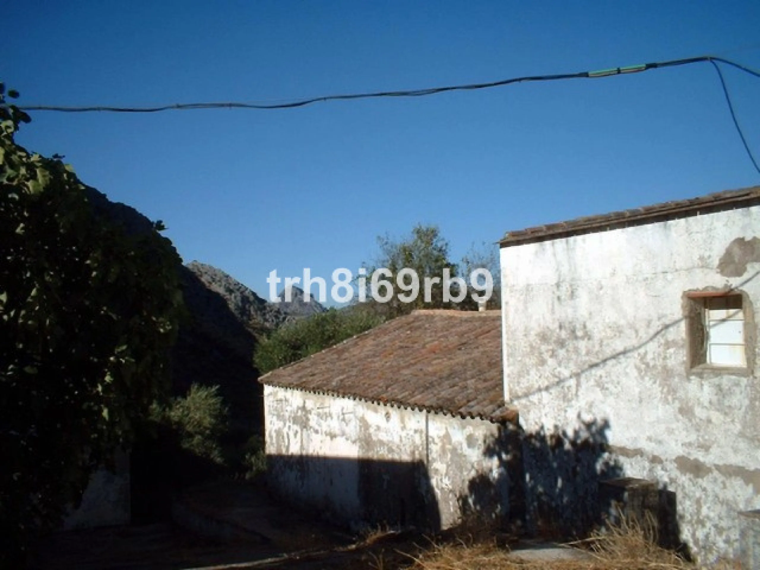 A prime investment project located only 15 minutes from Ronda. The finca consists of 7.5 hectares of olive plantation (approx 600 producing trees) and borders the National park of Grazalema. There are approx 1,100m2 of constructed warehouses and buildings