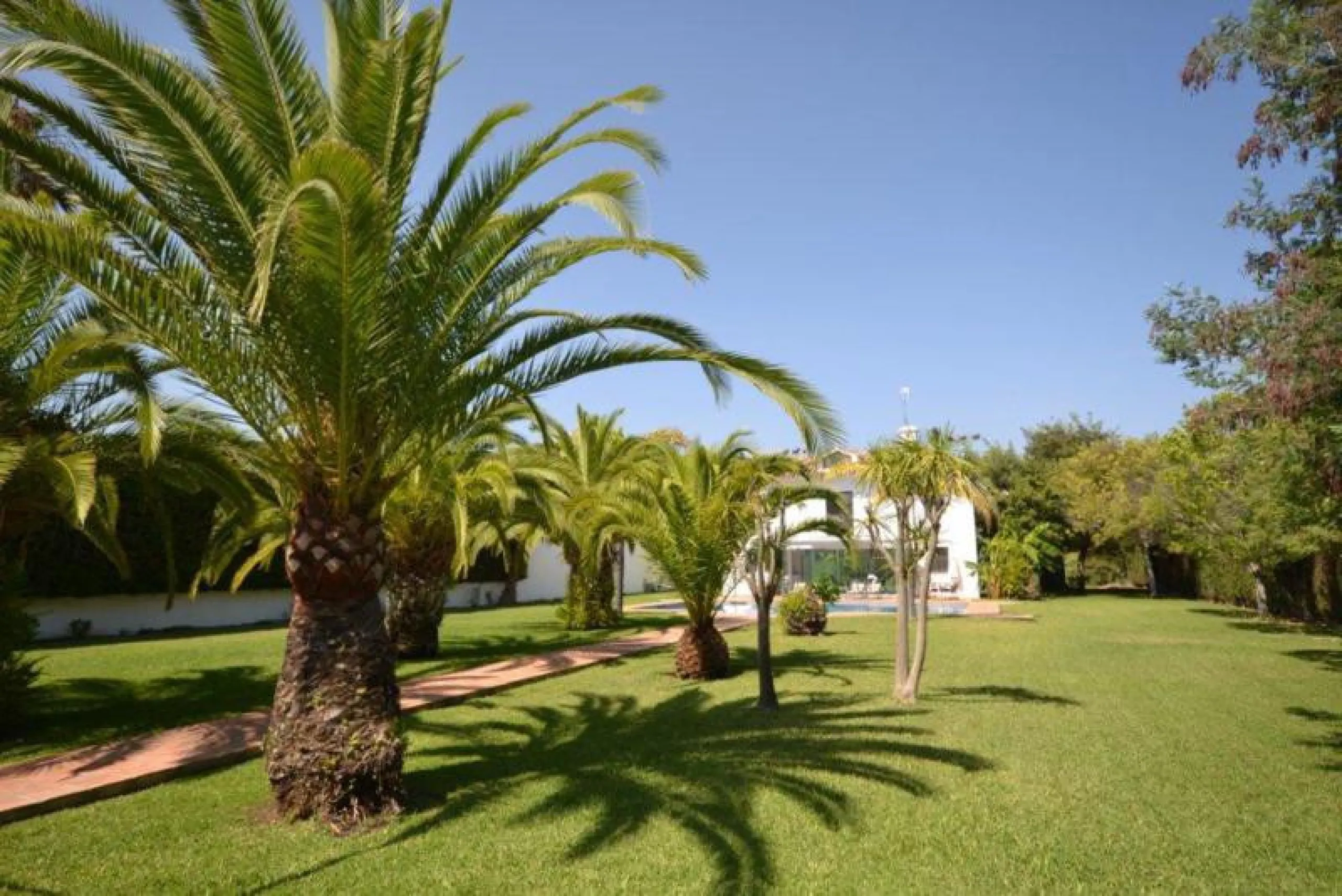 House - Detached Villa в продаже в Marbella, Málaga. В доме 6 спален и 6 ванных комнат. Площадь дома 700 м². Площадь участка 3200 м²