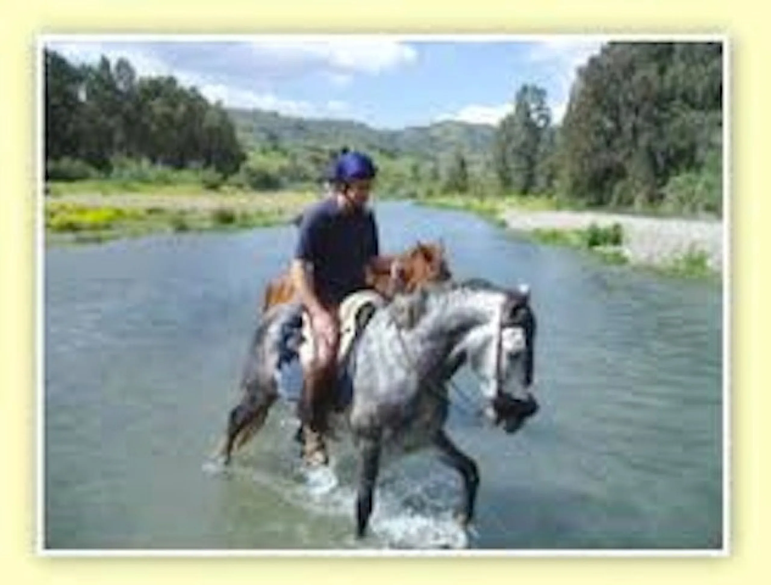 EQUESTRIAN Centre