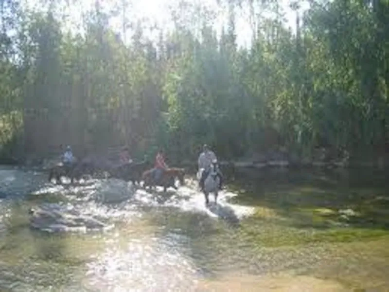 EQUESTRIAN Centre