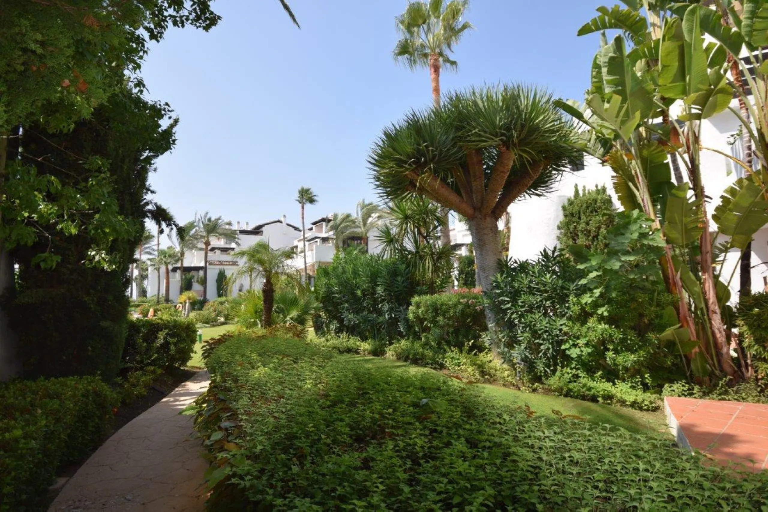 This luxury apartment is situated in Costalita on the beach side. Costalita is a nice gated complex with swimming pools and nice gardens. The apartment has 3 bedrooms and 3 bathrooms, a big living room and a separate dining area. The kitcten is open plan.