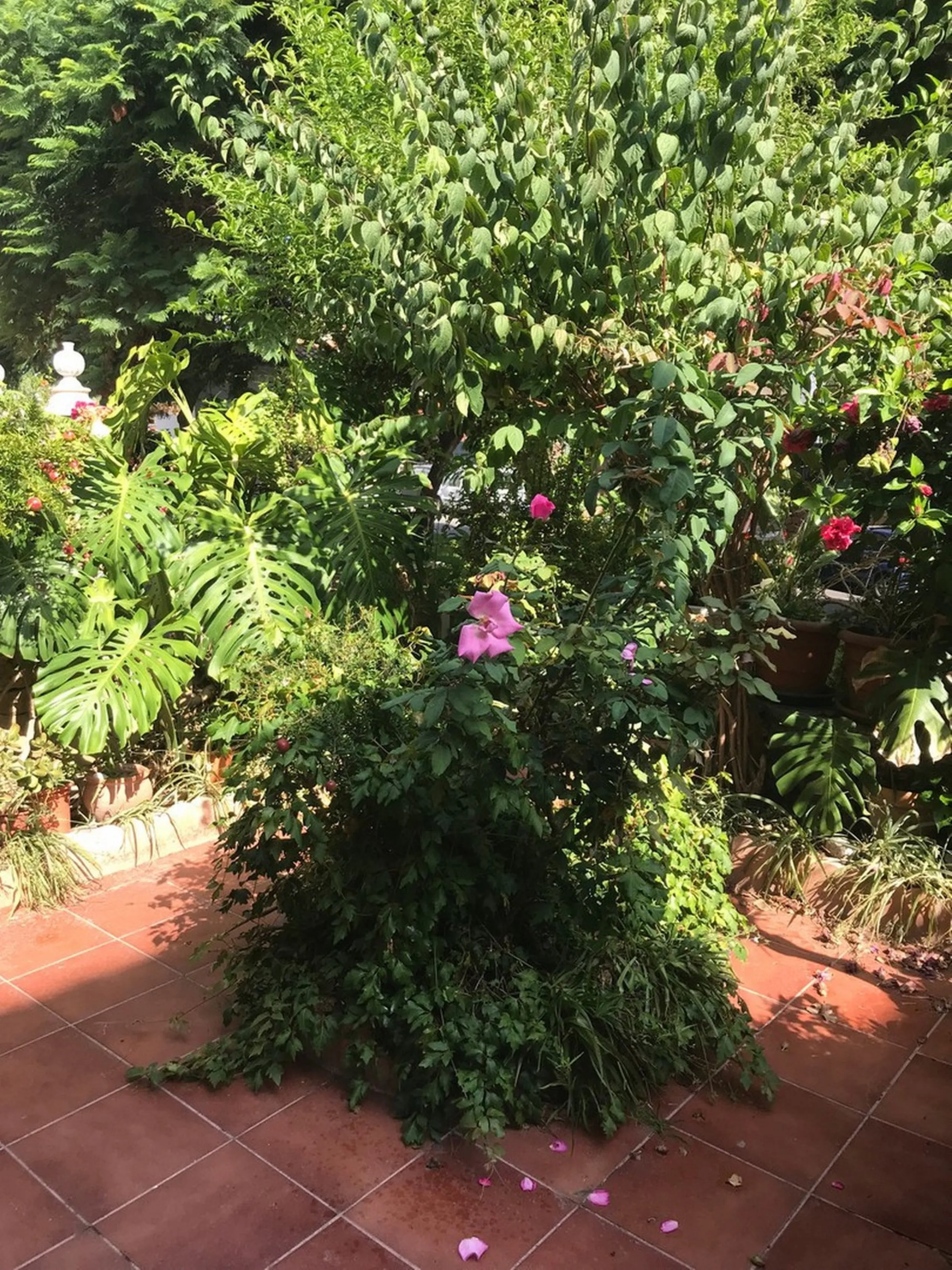 Townhouse - Terraced, Estepona, Costa del Sol.5 Bedrooms, 3 Bathrooms, Built 400 sqm, Terrace 100 sqm, Garden/Plot 200 sqm. Setting : Town, Commercial Area, Village, Close To Shops, Close To Schools. Orientation : North, West. Condition : Excellent. Clima