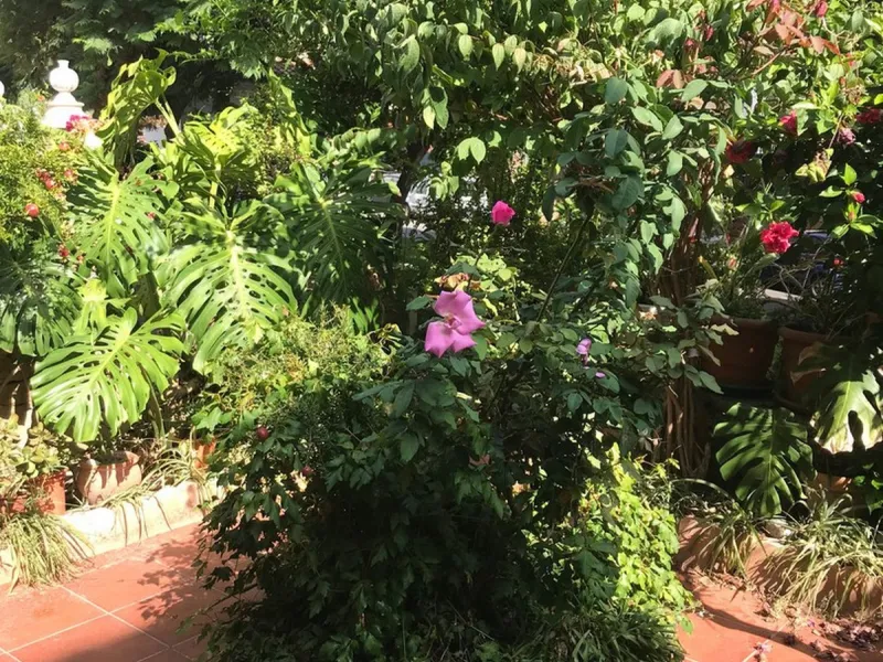 Townhouse - Terraced, Estepona, Costa del Sol.5 Bedrooms, 3 Bathrooms, Built 400 sqm, Terrace 100 sqm, Garden/Plot 200 sqm. Setting : Town, Commercial Area, Village, Close To Shops, Close To Schools. Orientation : North, West. Condition : Excellent. Clima