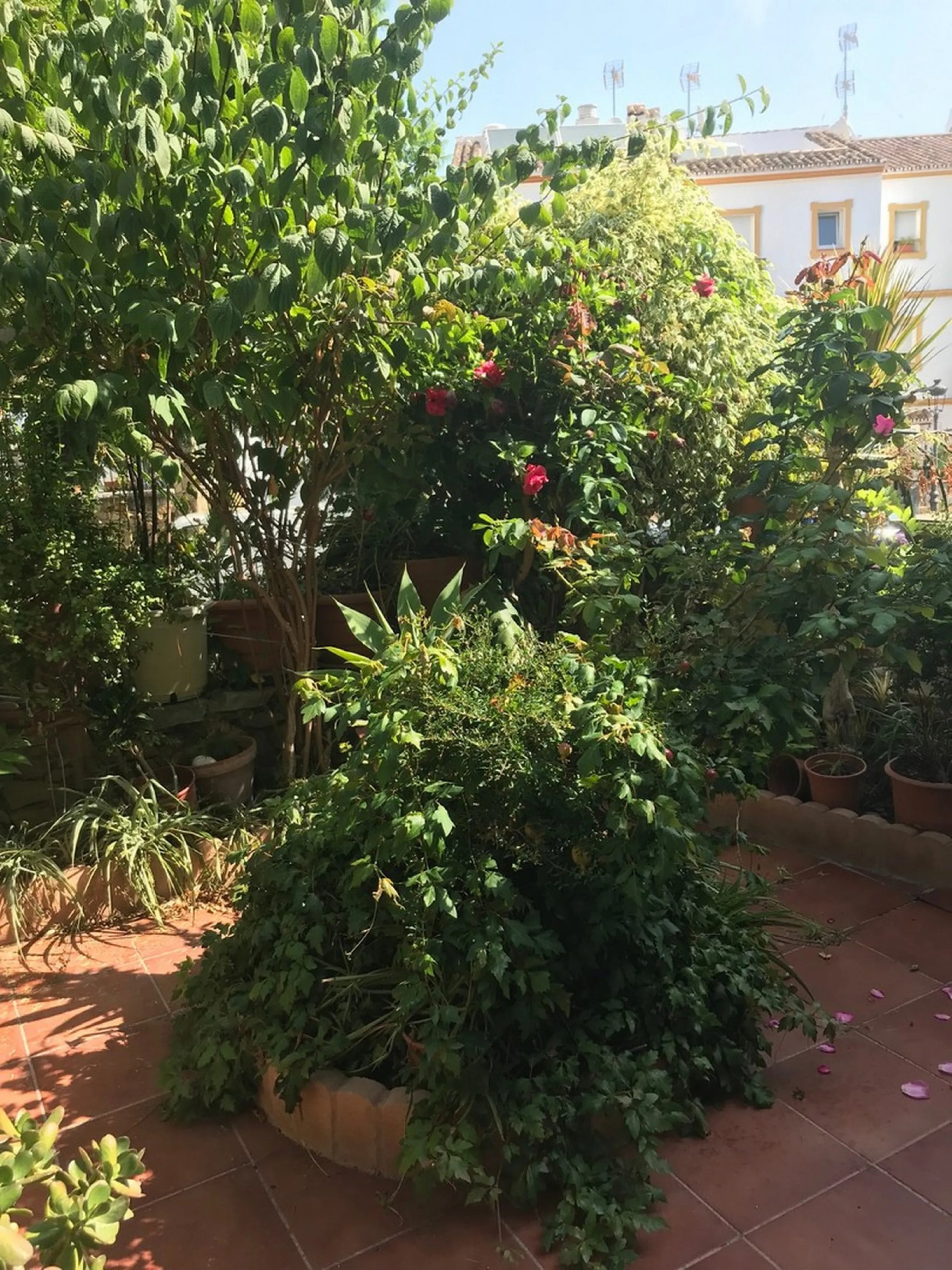 Townhouse - Terraced, Estepona, Costa del Sol.5 Bedrooms, 3 Bathrooms, Built 400 sqm, Terrace 100 sqm, Garden/Plot 200 sqm. Setting : Town, Commercial Area, Village, Close To Shops, Close To Schools. Orientation : North, West. Condition : Excellent. Clima