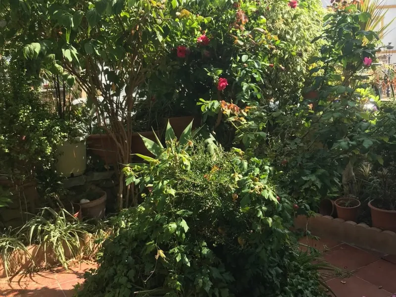 Townhouse - Terraced, Estepona, Costa del Sol.5 Bedrooms, 3 Bathrooms, Built 400 sqm, Terrace 100 sqm, Garden/Plot 200 sqm. Setting : Town, Commercial Area, Village, Close To Shops, Close To Schools. Orientation : North, West. Condition : Excellent. Clima