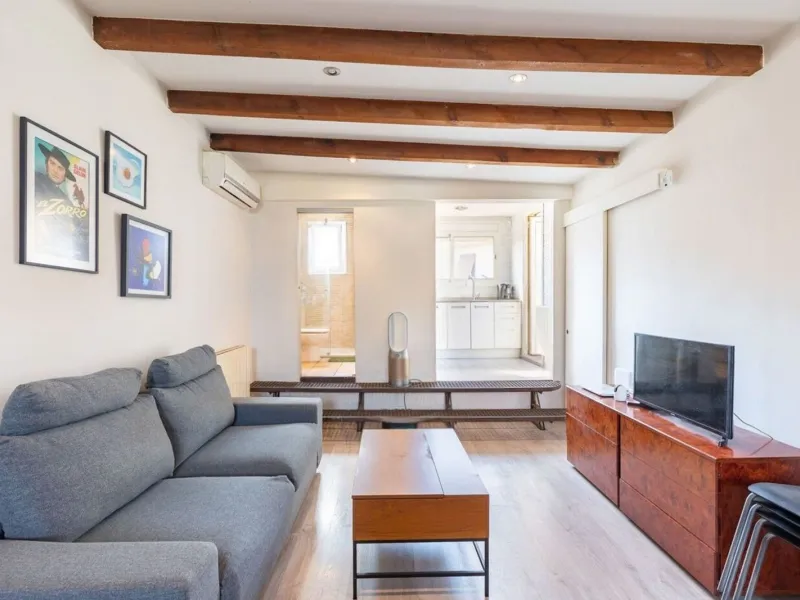 Bright penthouse with terrace in Sant Antoni, Barcelona