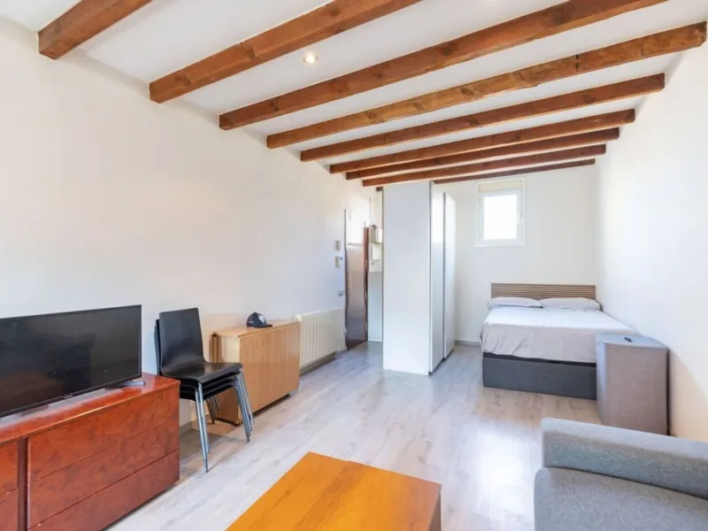 Bright penthouse with terrace in Sant Antoni, Barcelona
