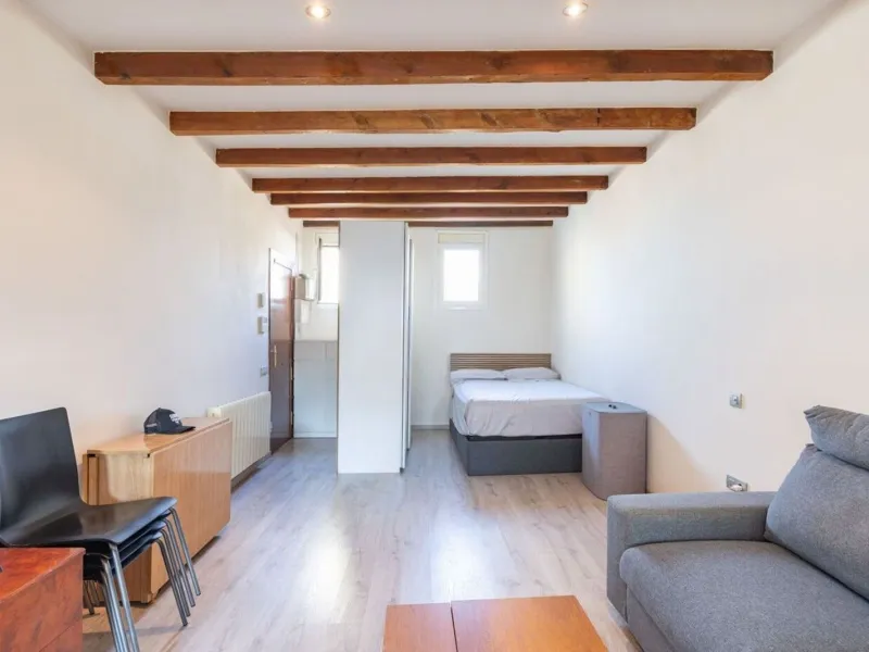 Bright penthouse with terrace in Sant Antoni, Barcelona