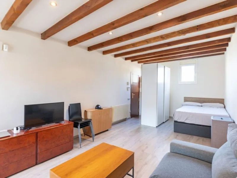 Bright penthouse with terrace in Sant Antoni, Barcelona