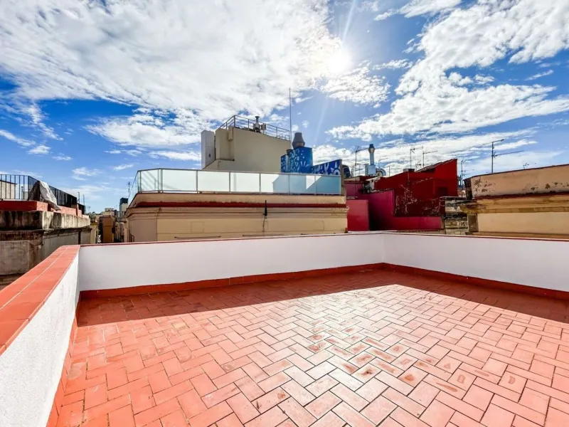 Renovated apartment with private terrace in El Born, Barcelona