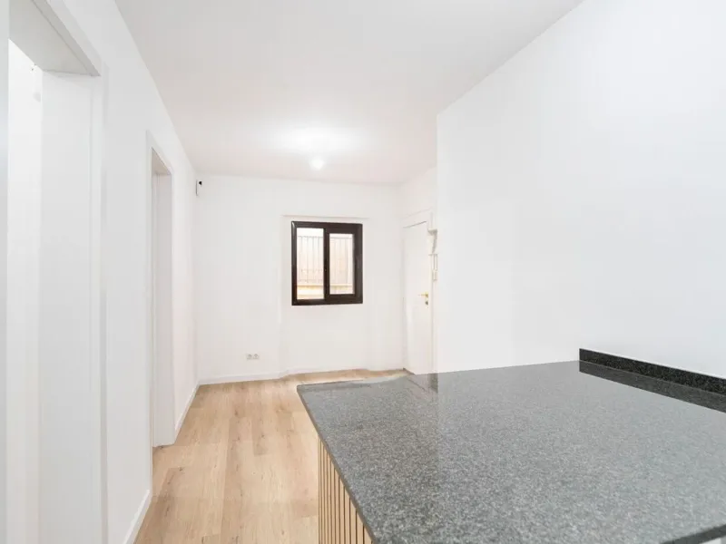 Renovated apartment with private terrace in El Born, Barcelona