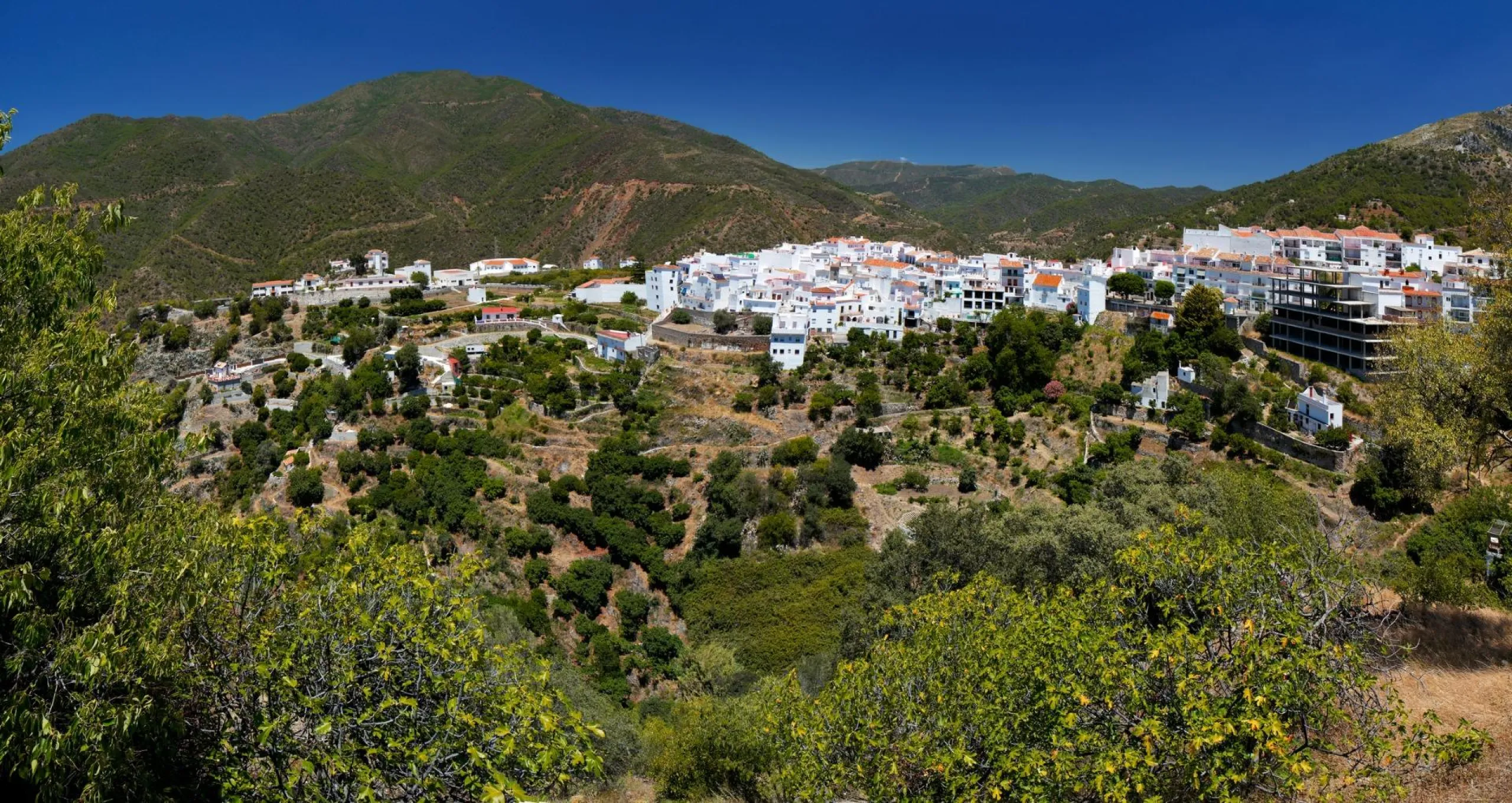 NEW BUILD RESIDENTIAL COMPLEX IN ISTAN, NEAR MARBELLA& & New Build development in the Sierra de las Nieves, close to the Sierra Blanca Country Club resort, in an area of exceptional natural beauty with hundred-year-old forests and panoramic views of