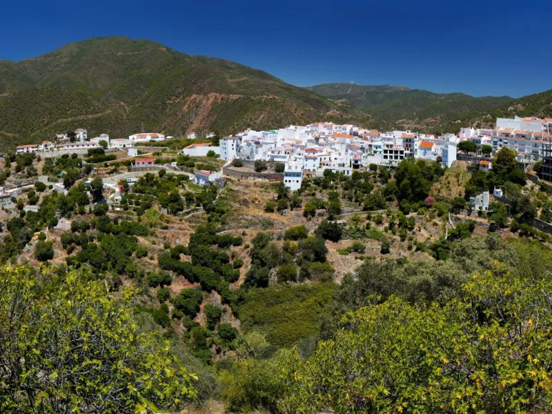 NEW BUILD RESIDENTIAL COMPLEX IN ISTAN, NEAR MARBELLA& & New Build development in the Sierra de las Nieves, close to the Sierra Blanca Country Club resort, in an area of exceptional natural beauty with hundred-year-old forests and panoramic views of
