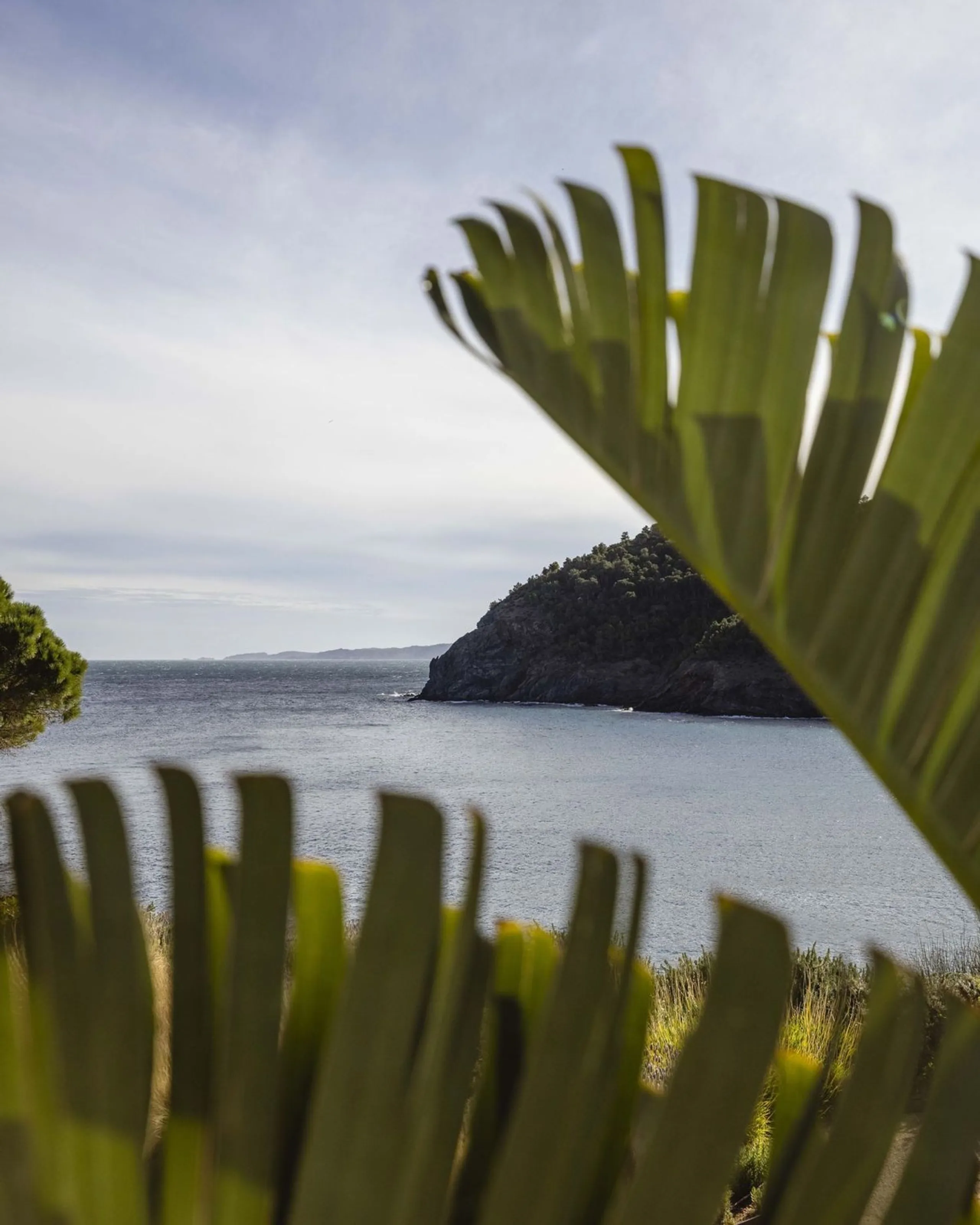 Villa exclusiva y moderna con acceso al mar en Costa Brava