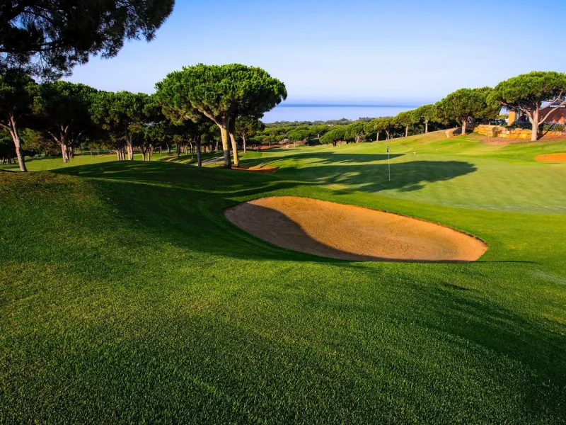& Luxury Living in Cabopino, Marbella: Exclusive Apartments with Unmatched Amenities& & Prime Location in Cabopino, Marbella’s Hidden Gem.& & This luxurious complex is located in Cabopino, Marbella, an area renowned for its tranquil atmosph
