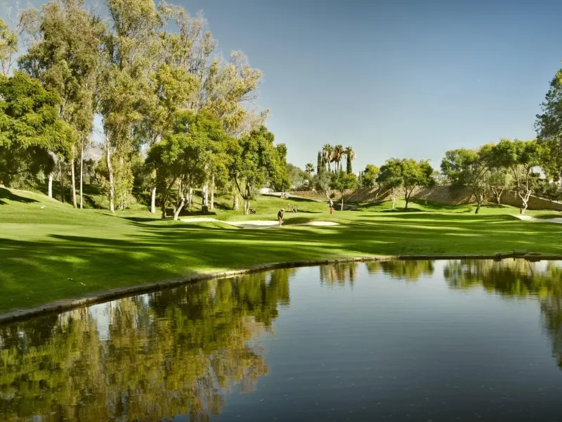 Exclusive Residential Complex in Nueva Andalucia, Marbella& & Luxury and Avant-Garde Design in a Privileged Location& Discover this stunning residential complex of 113 luxury homes, designed with innovative architecture that reinterprets the trad