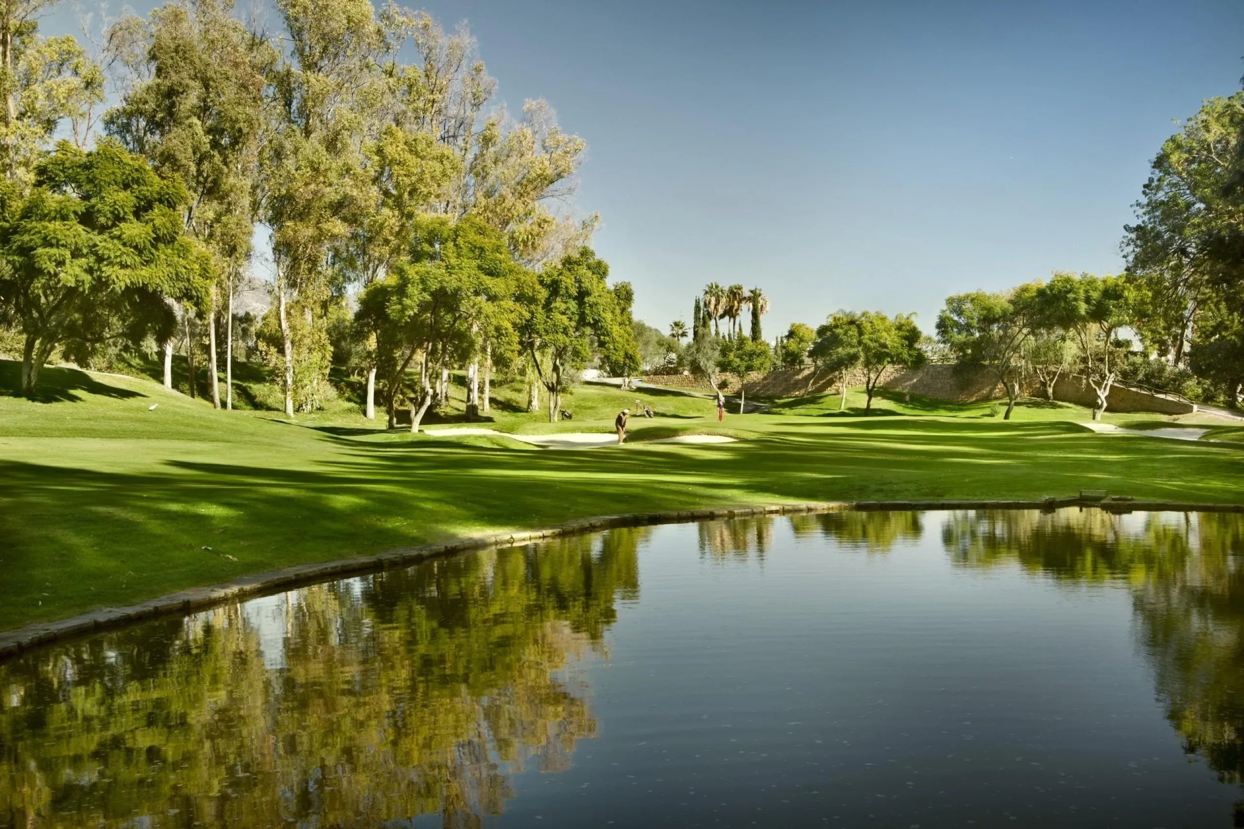 Exclusive Residential Complex in Nueva Andalucia, Marbella& & Luxury and Avant-Garde Design in a Privileged Location& Discover this stunning residential complex of 113 luxury homes, designed with innovative architecture that reinterprets the trad