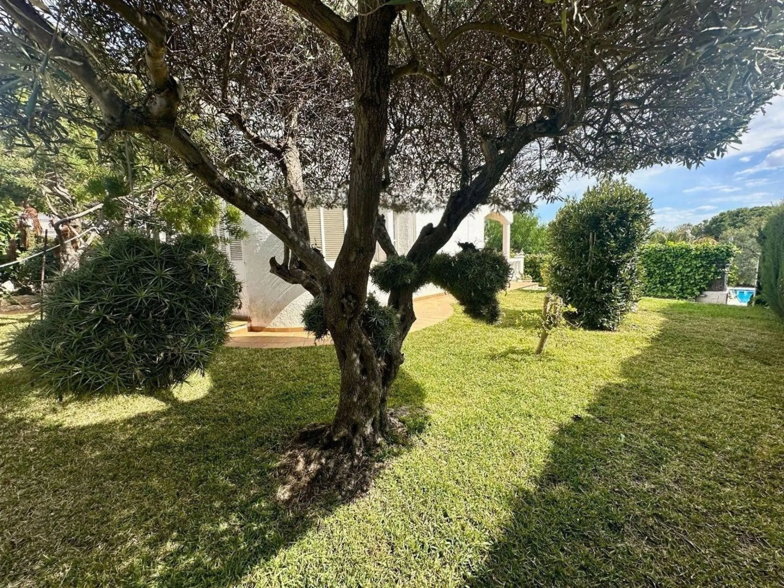 Bright and peaceful villa in Els Massos de Coma-ruga