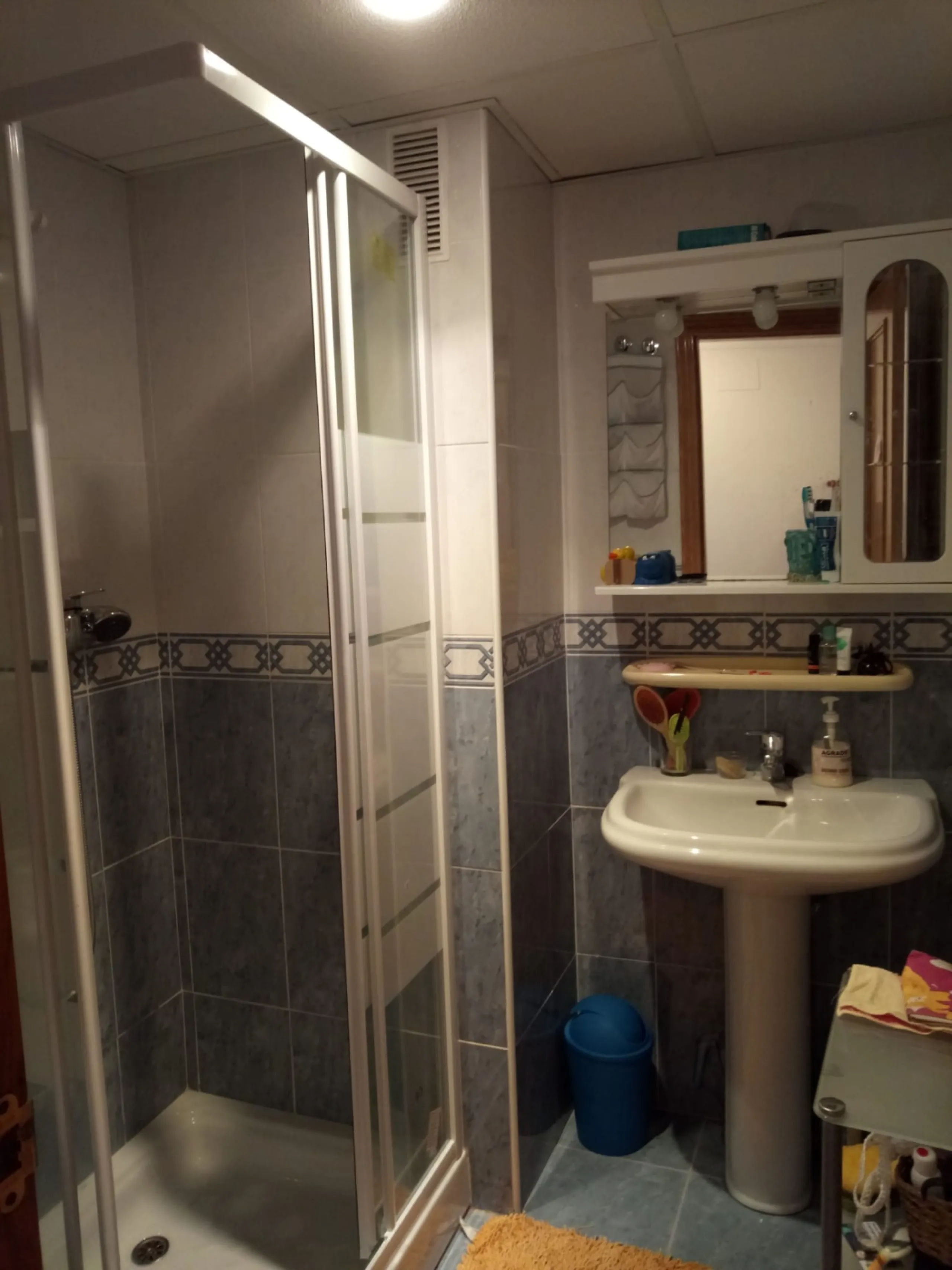 APARTMENT EN CAPLE ON SALE