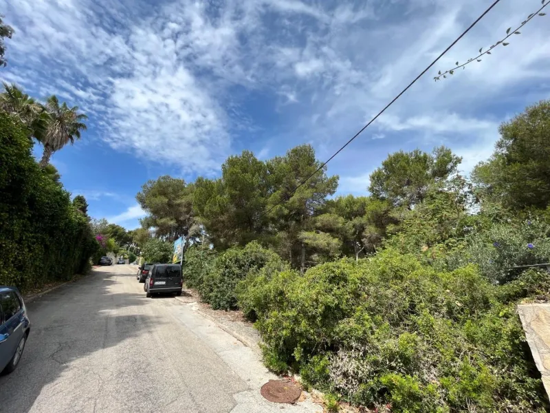 Magnífica parcela con vistas al mar en Javea