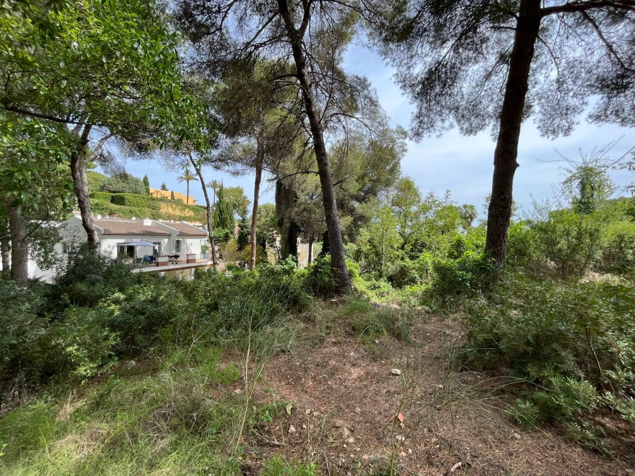 Magnífica parcela con vistas al mar en Javea