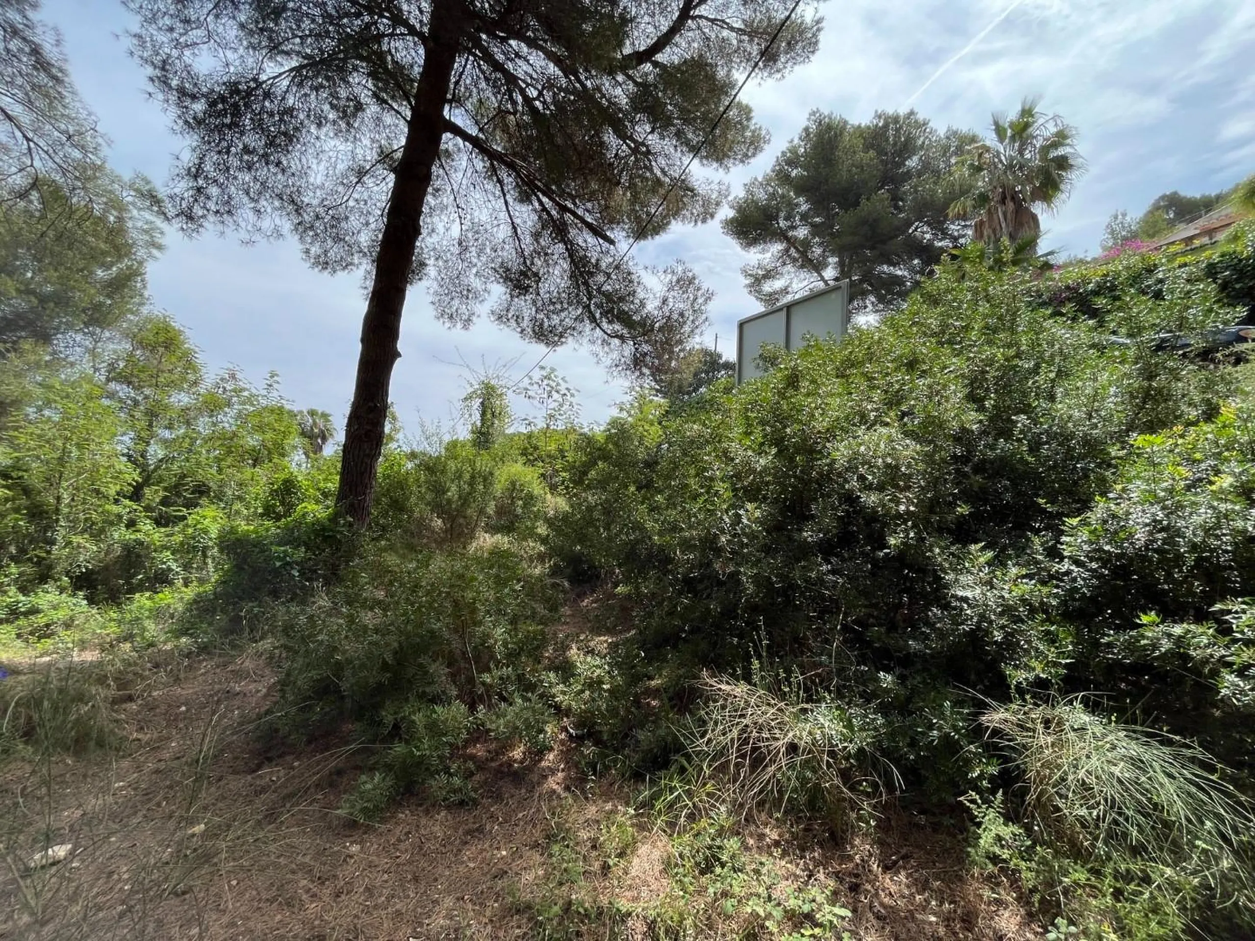 Magnífica parcela con vistas al mar en Javea